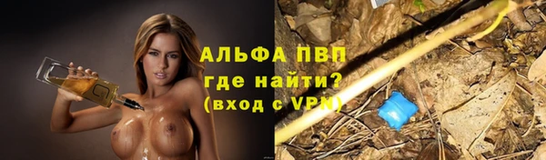 кокс Баксан