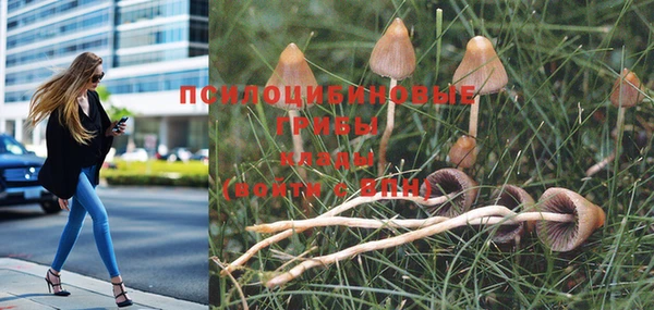 кокс Баксан