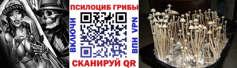 OMG как зайти  Крымск  Псилоцибиновые грибы мухоморы  хочу  
